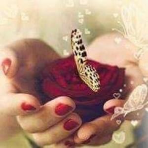 Meet your Posher, Elia